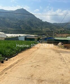 Bán đất 2 mặt tiền Tân Hội, Đức Trọng, Lâm Đồng - Nhà Đất Bình Dương