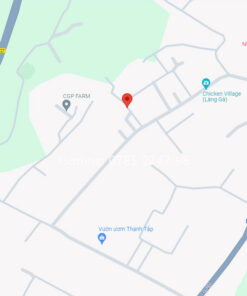 Bán đất 2 mặt tiền Tân Hội, Đức Trọng, Lâm Đồng - Nhà Đất Bình Dương